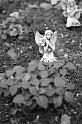 Kids_SFaire-2015 (286)